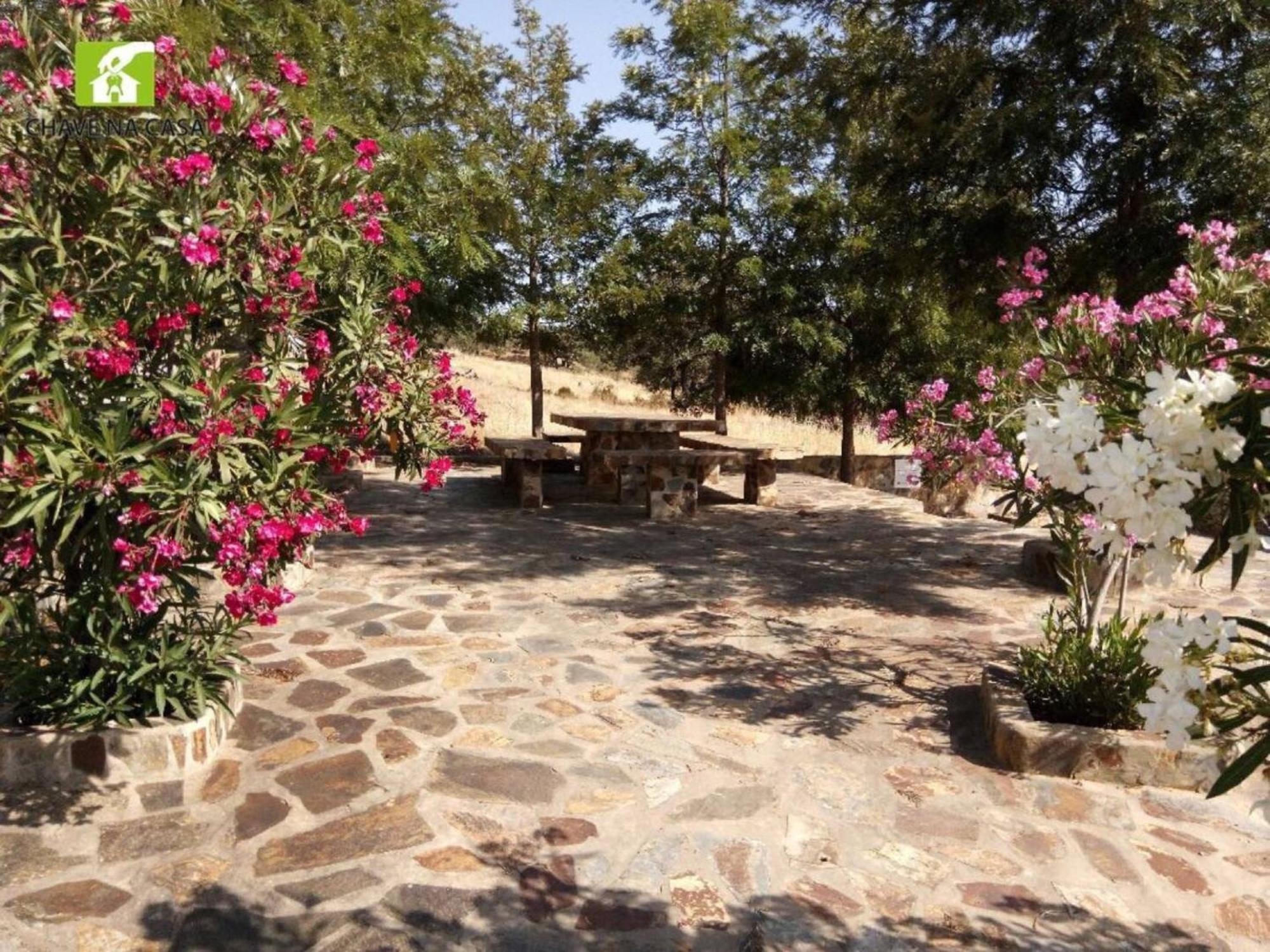 Casa Das Bonecas Farelos de Baixo Bagian luar foto